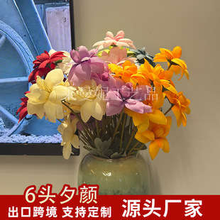 6�^Ϧ��滨��c��Y·���ٻ������ٲ��b�ˇ�ҾӔ[���廨