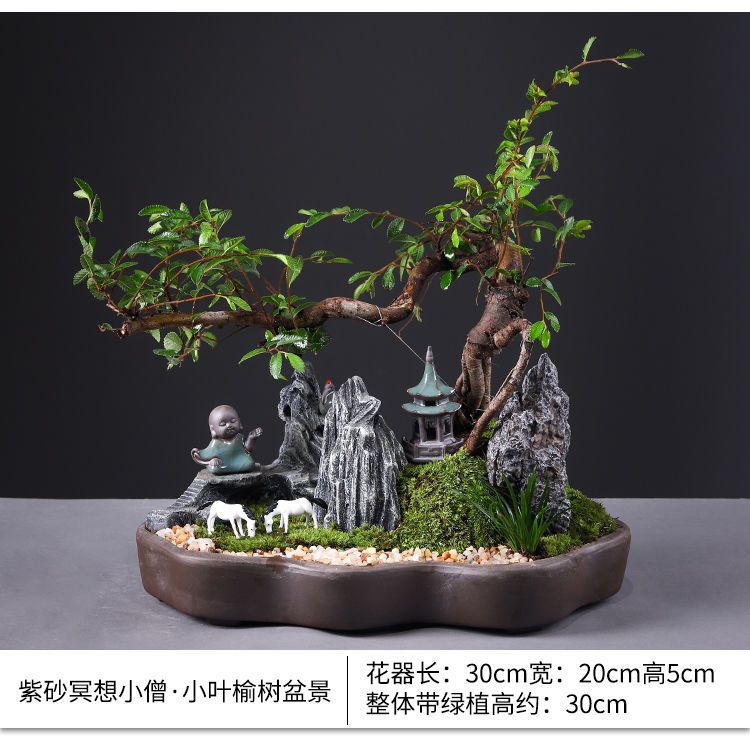 详情图