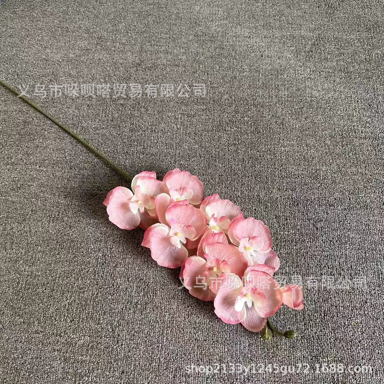 8 실크 호접란-라이트 핑크