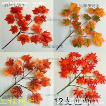 ��ͩ�~�~�Ӽ٘��~�����bGֲ�����~�^�z�����＾�t�y���~���~