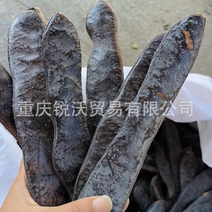 1�����������ǂ��� �i���� �����жθ�؛С����ü�����v��؛