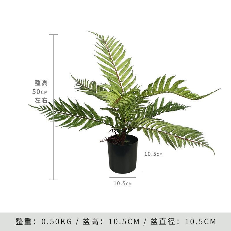 Simulación nórdica Planta verde Pilar de hadas Cactus grande piso interior sala de estar ropa tienda decoración de ventana