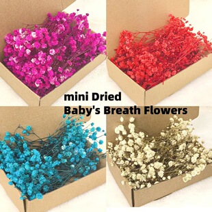 �羳���Nɢ�b�M���ǾG�U�׻��װ�ɫ�M���Ǹɻ��������ֹ�DIY����