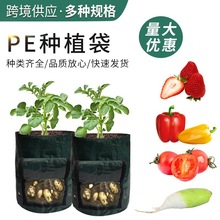 PE�����Nֲ��ݮ��ֲ�����l�@ˇ�_���^���������Դ�^���ԷN���l