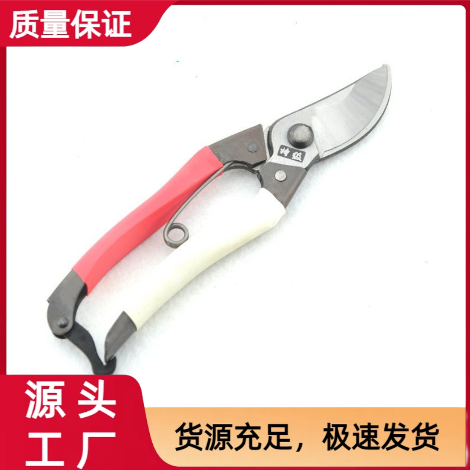 剪树枝剪刀专用花剪园艺园林修枝园丁剪嫁接强力采摘省力修水果树