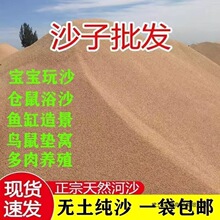 天然河沙儿童细沙种花冬眠造景乌龟沙鱼鱼缸多肉底沙种植建筑沙子