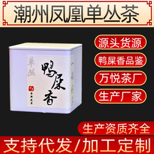 凤凰单枞茶鸭屎香凤凰单丛50克罐装茶叶批发茶品鉴试饮装