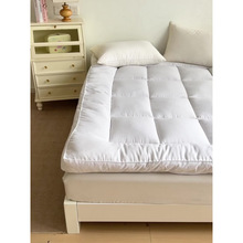 2025�¿����w�Ӻ�10cmA��w�S���|����ܛ�|�Ҽ�