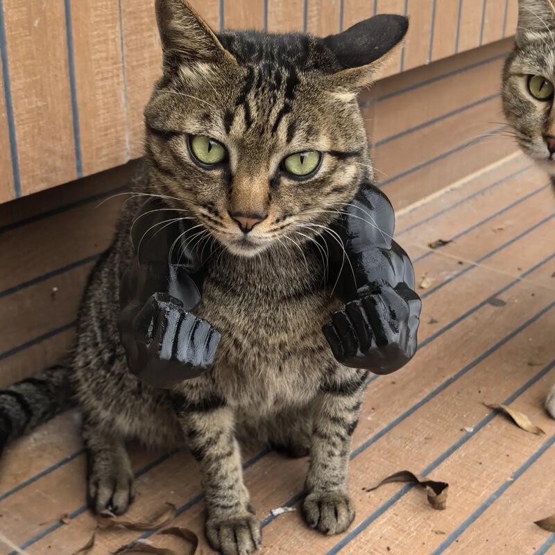 ハルク猫アームペット子犬のおもちゃ写真小道具 3D 印刷かわいい面白いクリエイティブ猫服バックパック|undefined