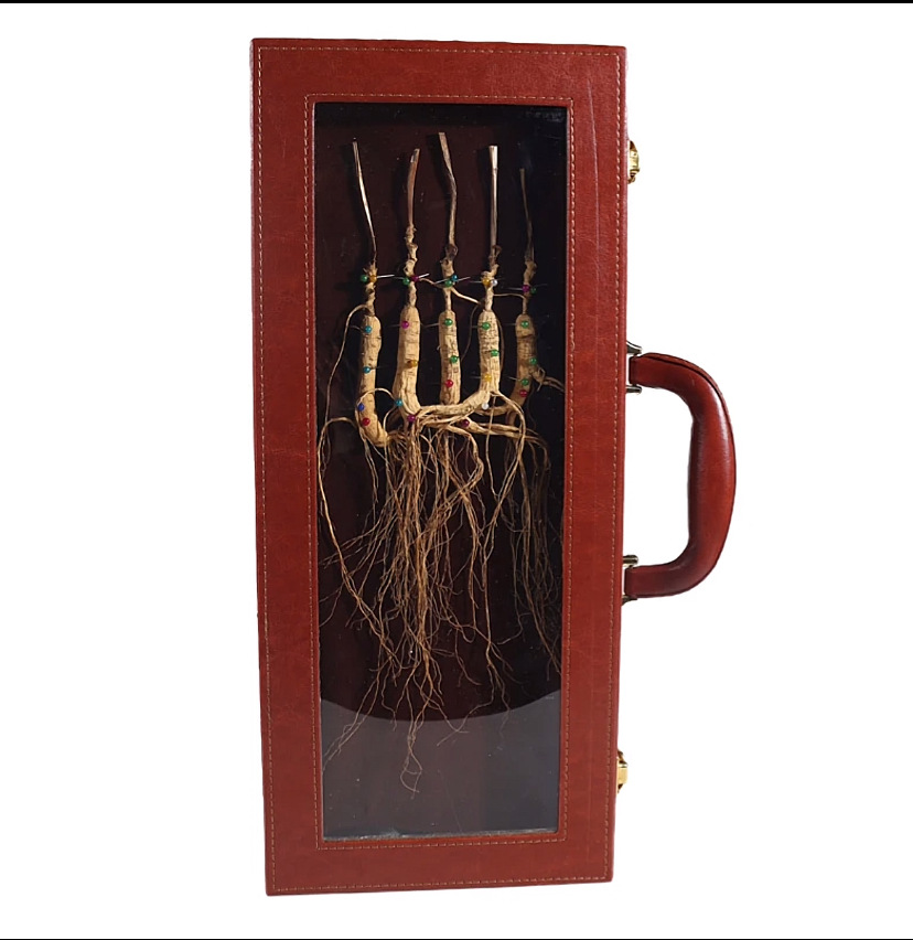 Changbai Mountain Forest Grown Ginseng Gift Box Dried Whole Roots 8 Pieces 40g key features