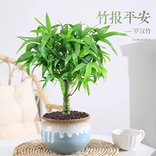 �_�h���������Կ͏d�k�����쾰�Ϙ������^�p�����������ͺ�ֲ��