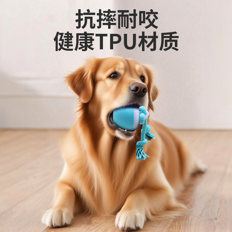 跨境智能耐咬逗绳子狗球磨牙发声玩具宠物智能滚动球电动狗狗解闷|undefined