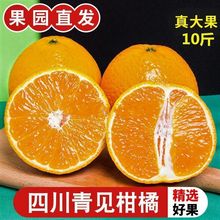 【现摘现发】正宗四川青见丑橘子果冻橙柑甜桔子新鲜水果3/5/9斤