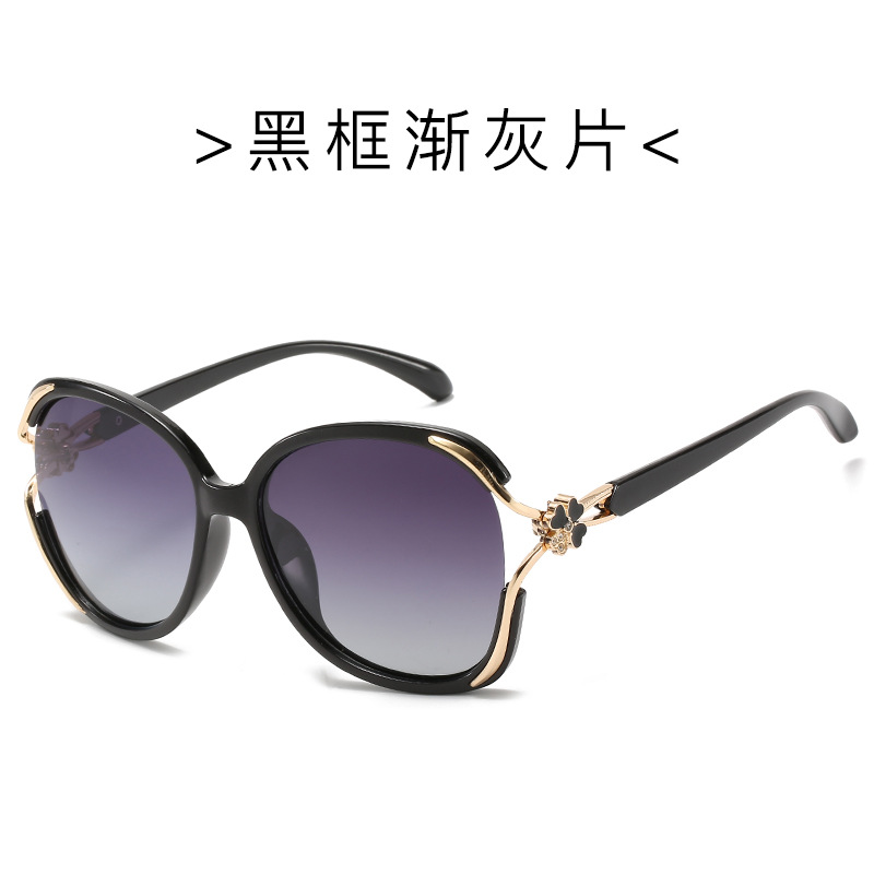 블랙 프레임 점진적 (편광)