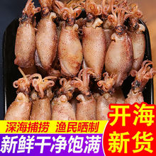 【无干燥剂】海兔干野生籽乌海鲜干货带籽墨鱼干乌贼500g新货批发