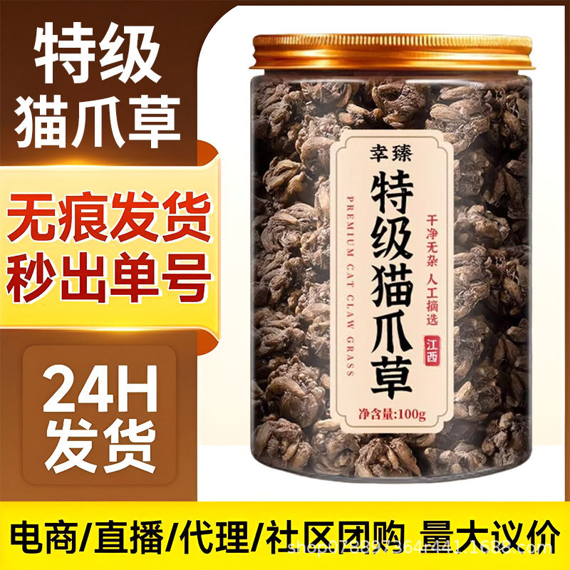 Premium Cat's Claw Herb Mao Zhua Cao Dried Root for Traditional Herbal Decoction Tea 100g key features