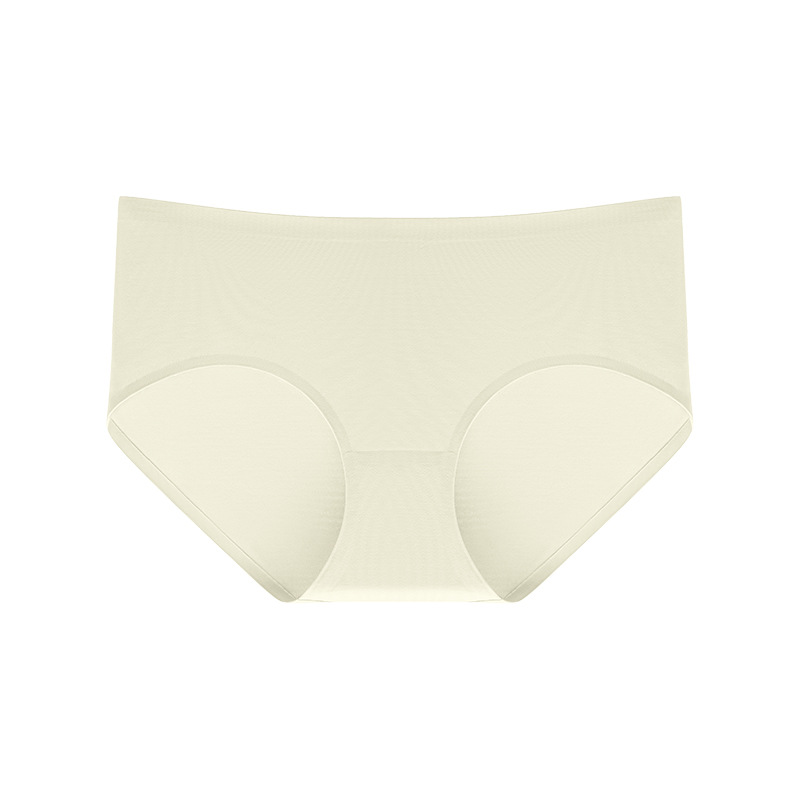 샴페인 팬티