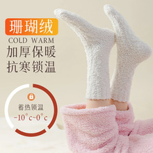 珊瑚绒袜子女保暖加厚加绒睡觉穿的居家毛绒睡眠地板月子袜秋冬季