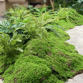 仿真草皮;仿真绿植;永生花