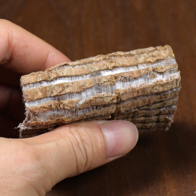 四川杜仲漢方薬 500g 本物の野生杜仲樹皮、ウイリウム、牛、強壮剤、ワイン、お茶、スープパック|undefined