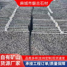 ���������Ҵ���ʯ֥��һ����֥�����֦�� ֥���