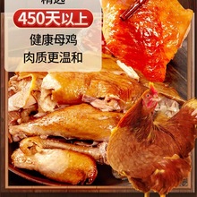 ���P���u ���� ��ֻ���u�����uζ��ʳ��˺�u��ʳ�ӱ�ʯ��ׯ�؞���