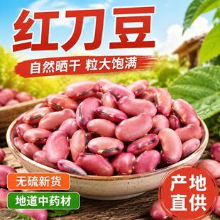 �t������ș�� ���N�䱳�浶�� �󵶶� �P�����R�����������ʹ��