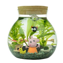 水培花鉢水培植物ガラス帯灯瓶微景観生態瓶水槽器置物闘魚瓶