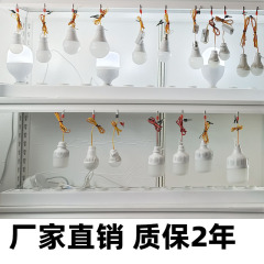 対外貿易クロスボーダー人気dc 12vランプ低圧彩泡灯夜市ランプ電気瓶灯クリップランプ電球ランプスイッチ付き