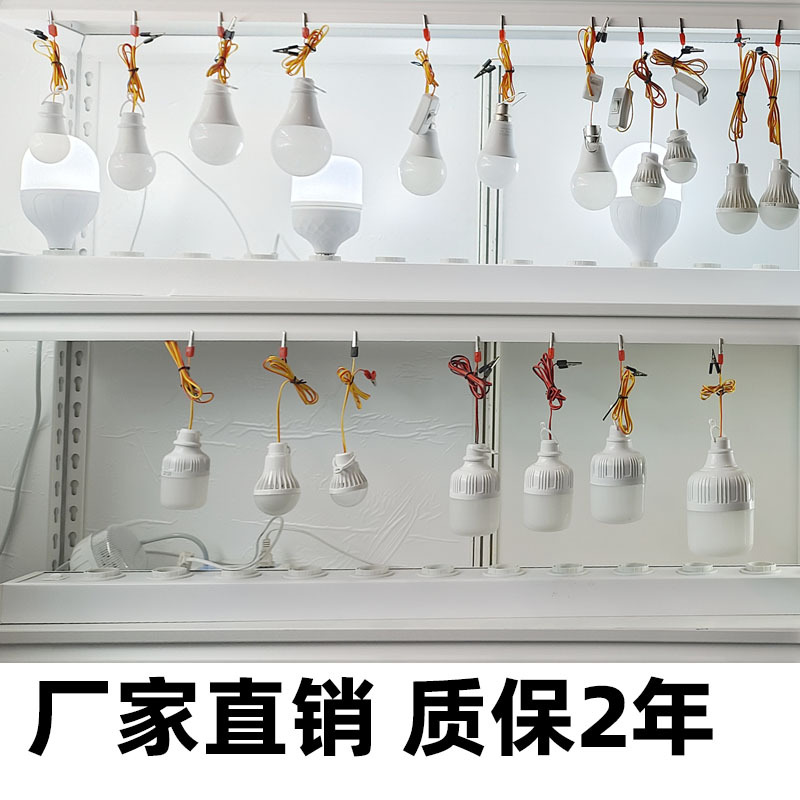 外贸跨境热销DC12V灯 低压彩泡灯夜市灯电瓶灯夹子灯球泡灯带开关