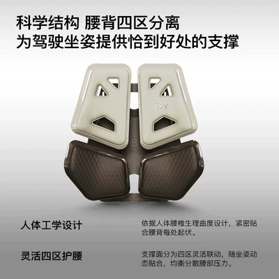 Waist support Support Cushion for