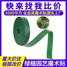 ���������Gֲ������ħ�g�N�@ˇ����ֲ���������ͽ����廨�̶�����
