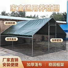 户外养鸡笼子家用家禽养殖棚搭建鸡舍孔雀笼大型养鸭鹅养鸽专用笼