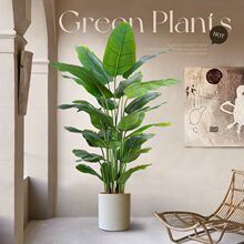 �����B����Gֲ���滨�����~�Ӹ߶��p���҃ȿ͏d��ؼٻ��b�ֲ��