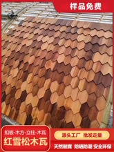 �tѩ��ľ��Ƭ�o������o��Ⱥ�be�����ľ���ô����ľ�����~��