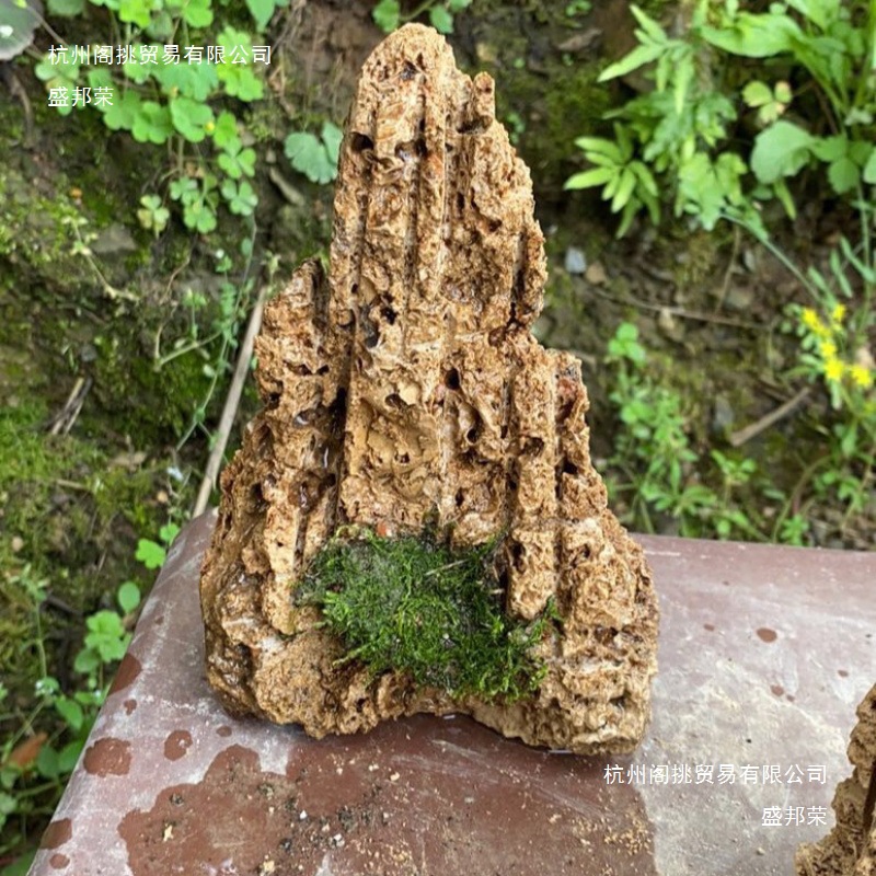 厂家天然上水石吸水石盆景假山盆景奇石原石微景观造景家居办公装
