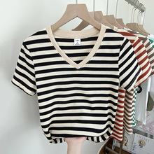 ����95���]5��Ůʿ�ļ��¿���@�ݰ����w����������ͨ������