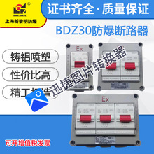 防爆断路器 空开BDZ30 BPZ-20A一开 新黎明防爆断路器