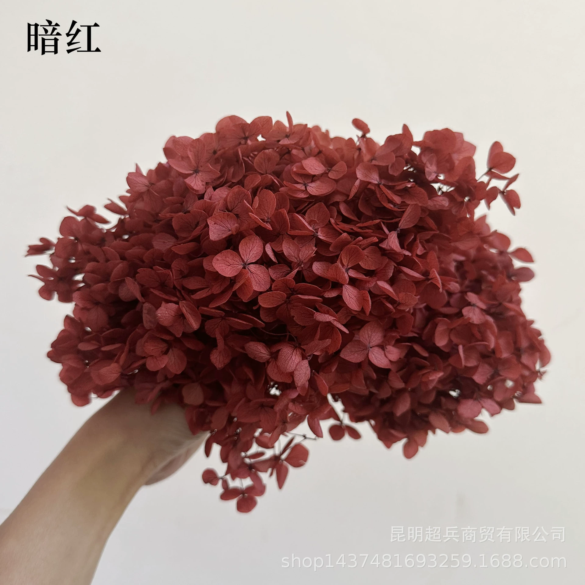 [Вечная Life Flower Hydrangea] Анна Градиентный цвет Лист Hydramid Книга цветов оптом DIY цветочная коробка материал для просмотра