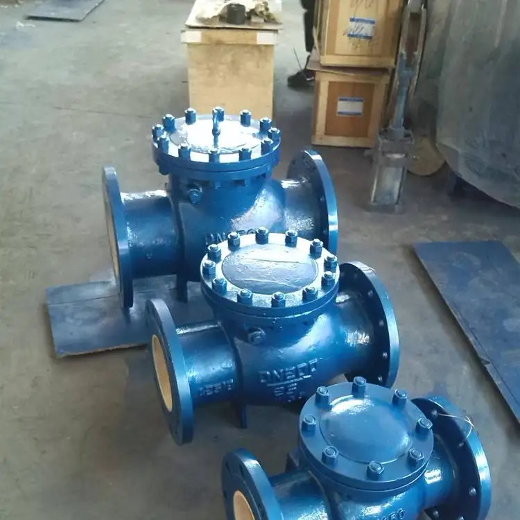 浙江温州PH44TC耐磨陶瓷排渣止回阀
