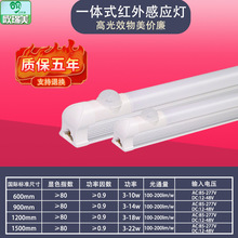 WT8tБ֙CAPPWP܇һwБչ