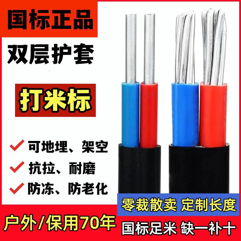 National Standard 2-Core Sheathed Wire Aluminum Core Household Outdoor Wire 4/6101625 Square Double-Core Aluminum Cable Anti-Aging National Standard 2-Core Sheathed Wire Aluminum Core Household Outdoor Wire 4/6101625 Square Double-Core Aluminum Cable Anti-Aging