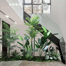 ����Gֲ�쾰���ͷ�����ֲ���҃Ⱦ��^���������b������Ô[��