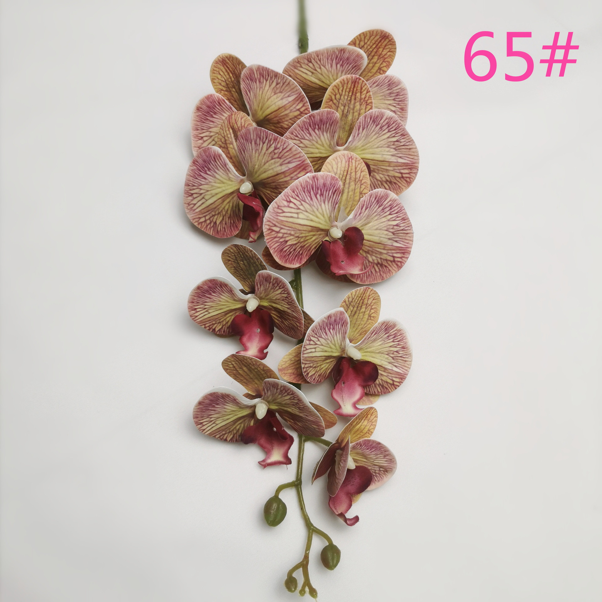 IMG_20220531_181107_副本