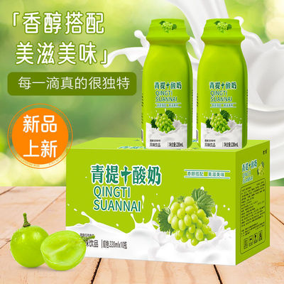 [【代发】220ml*10瓶青提风味酸奶营养早餐风味整箱解腻饮料饮品]