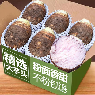 ���ڏV�����r�����^��Ŵ����С���^��������ɫ�����r���ԷNܵ��