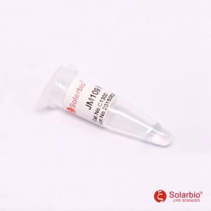 C1300 JM109感受态细胞  JM109菌株 DNA的化学转化  质粒检测