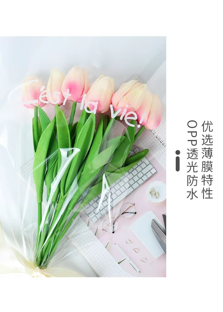 11db806f-e625-49ef-883d-1a8009c6c1a5.jpe