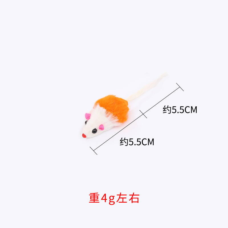 흰색 주황색