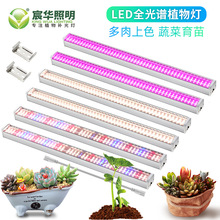 ȫ���VLEDֲ�����L��ˮ���߲��a������Ҵ���o��������T12�չ��